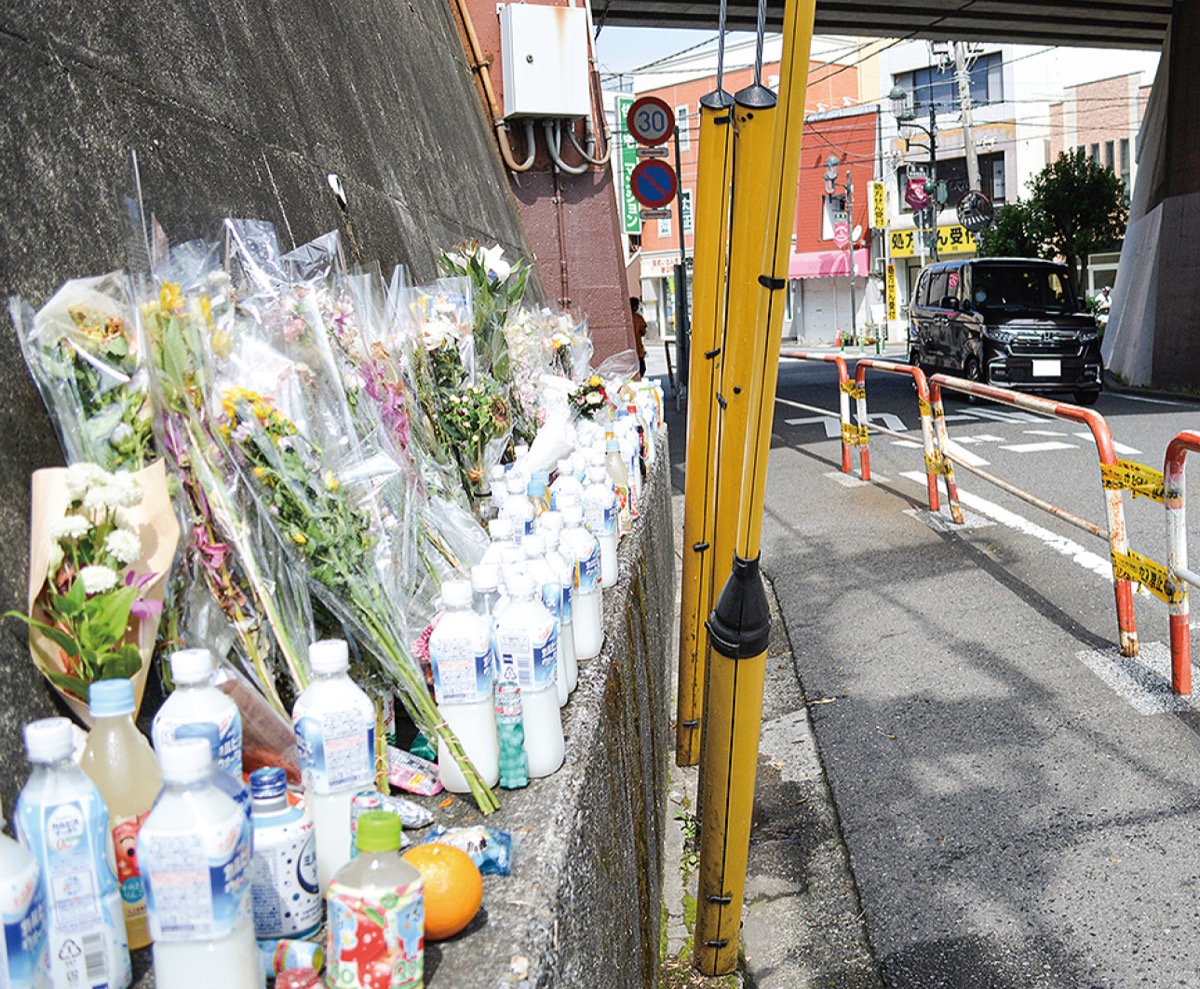 横浜市金沢区 富岡での事故死悼む花 議員団が対策要望 金沢区 磯子区 タウンニュース 磯子区 磯子区民ニュース