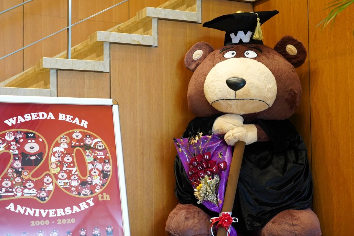 早大マスコットキャラクター ワセダベア 周年 成長とともに広がる活躍の場 新宿区 新宿区民ニュース