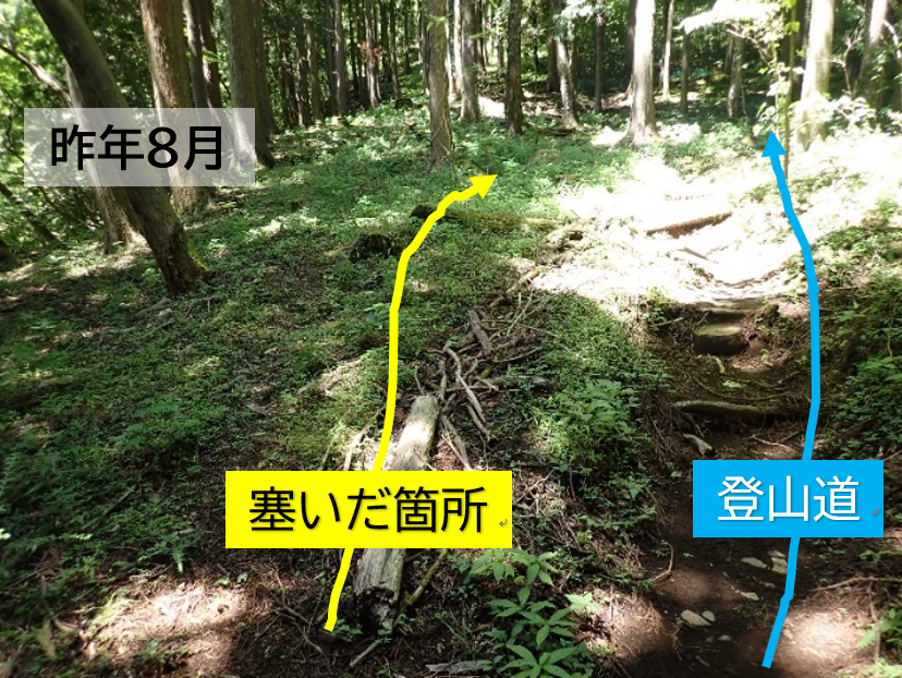 登山道を外れて歩くと踏み跡ができて植生が衰退します。 数年前に落ち枝で塞いだ脇道は、昨年には草が生えてきていましたが、残念なことに新たな踏み跡 ...