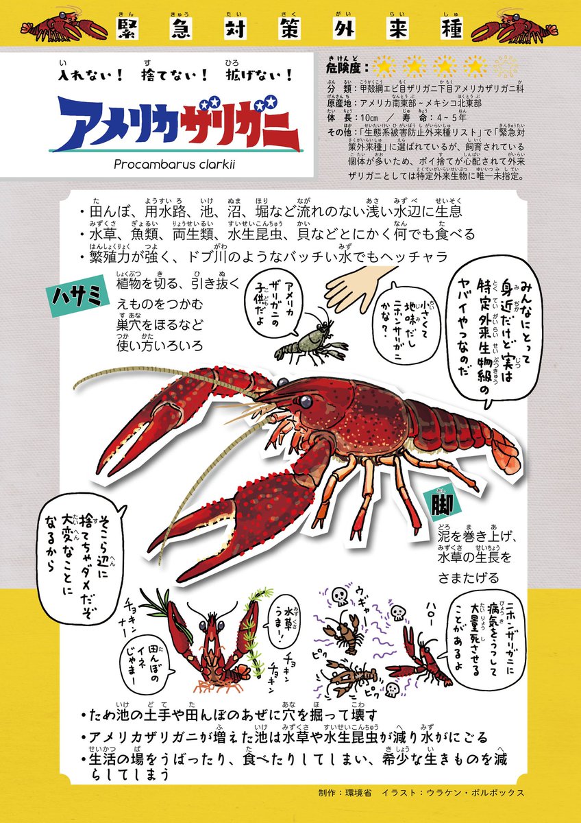 アメリカザリガニ ミドリガメ の飼育について 特定外来種認定され 今後は 販売 や 放流 ができなくなります 既に飼育している個体は引き続き飼うことができます 何の生物でもそうですが 終生 面倒みられるかどうか もう少し
