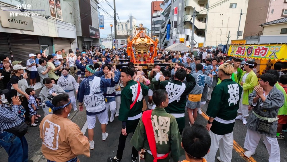 柏まつりの4基の神輿渡御